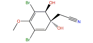2-((1R,6S)-3,5-Dibromo-1,6-dihydroxy-4-methoxycyclohexa-2,4-dienyl)-acetonitrile